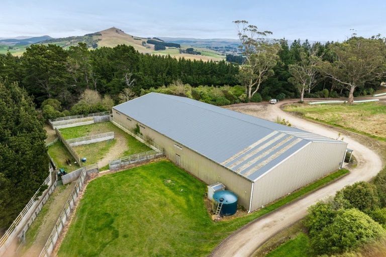 Photo of property in 53 Bushey Park Road, Bushey, Palmerston, 9482