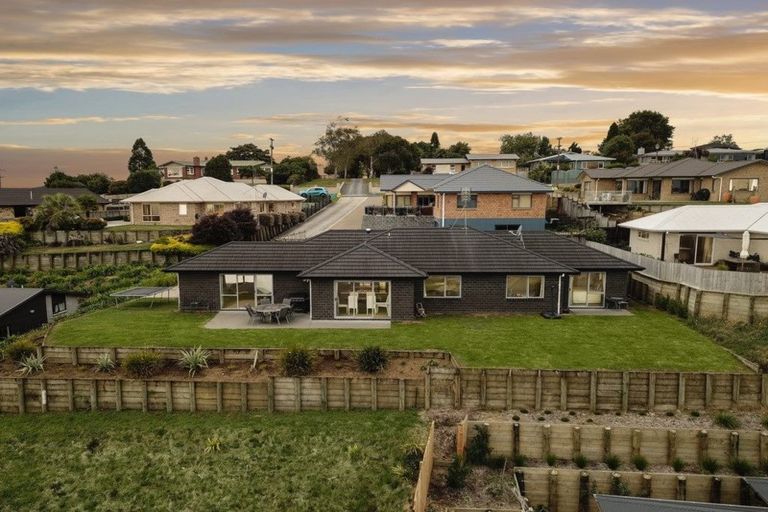 Photo of property in 373 Picquet Hill Road, Te Awamutu, 3800
