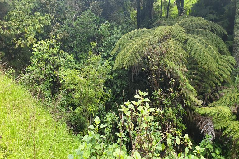 Photo of property in 1710 Kohumaru Road, Peria, Kaitaia, 0482