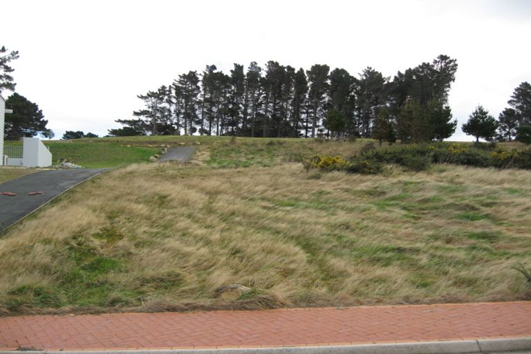 Photo of property in 24 Highgrove, Saint Clair, Dunedin, 9012