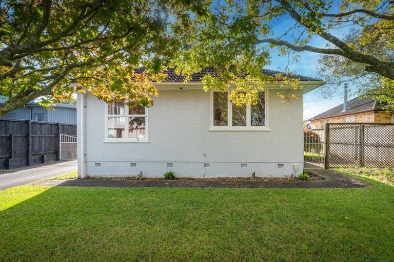 Photo of property in 38 Douglas Crescent, Fairfield, Hamilton, 3214