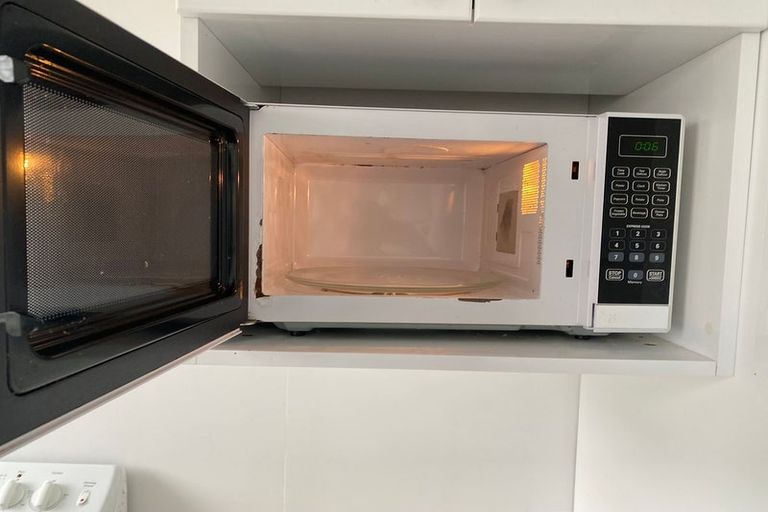 Photo of property in 25 Queen Street, North Dunedin, Dunedin, 9016