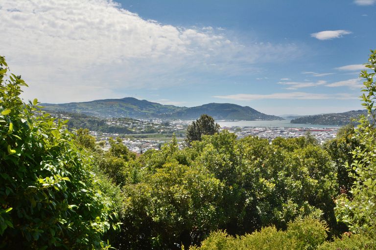 Photo of property in 37 Skibo Street, Kew, Dunedin, 9012
