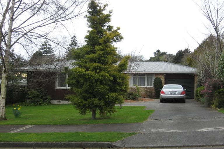 Photo of property in 38 Chester Street, Levin, 5510