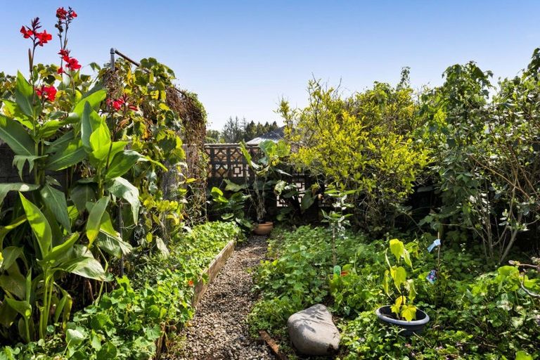 Photo of property in 15 Kauri Street, Inglewood, 4330