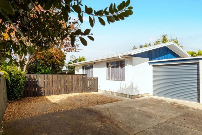 Photo of property in 1029b Konini Street, Mahora, Hastings, 4120