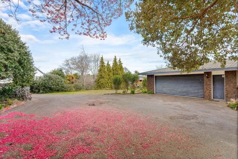 Photo of property in 137 Boucher Avenue, Te Puke, 3119