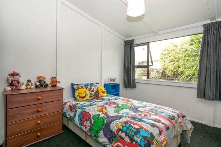 Photo of property in 6 Clyde Street, Renwick, 7204