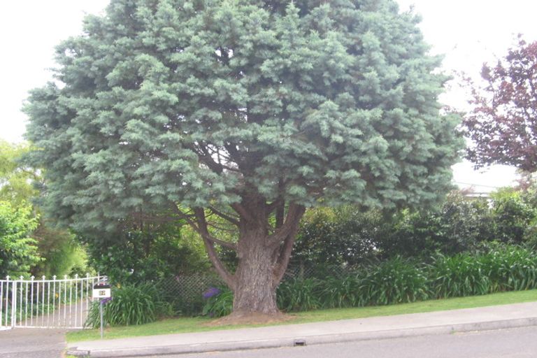 Photo of property in 29 Mcdonnell Street, Omokoroa, 3114