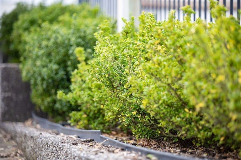 Photo of property in 39 Springfield Crescent, Enderley, Hamilton, 3214