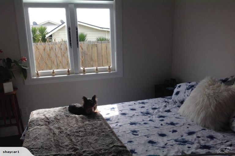 Photo of property in 38 Jellicoe Avenue, Tuakau, 2121