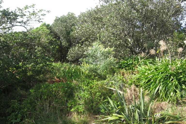 Photo of property in 17 Ellora Street, Ngaio, Wellington, 6035