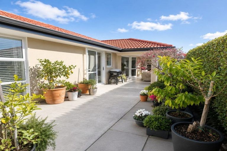 Photo of property in 11 Muirfield Crescent, Aongatete, Katikati, 3178