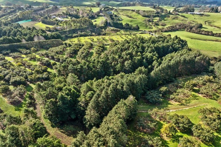 Photo of property in 237b Busby Road, Tahawai, Katikati, 3170