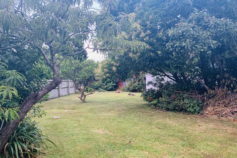 Photo of property in 44 Brabant Street, Opotiki, 3122