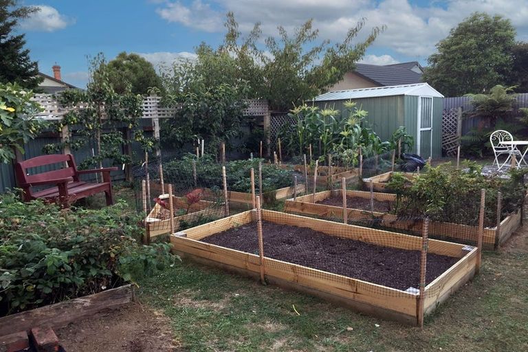 Photo of property in 141 Limbrick Street, Terrace End, Palmerston North, 4410