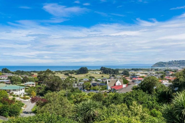 Photo of property in 4b Minto Street, Andersons Bay, Dunedin, 9013