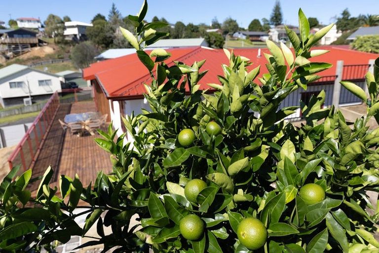 Photo of property in 19 Hartis Avenue, Huntly, 3700