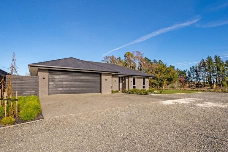 Photo of property in 72 Turnbull Drive, Witherlea, Blenheim, 7201