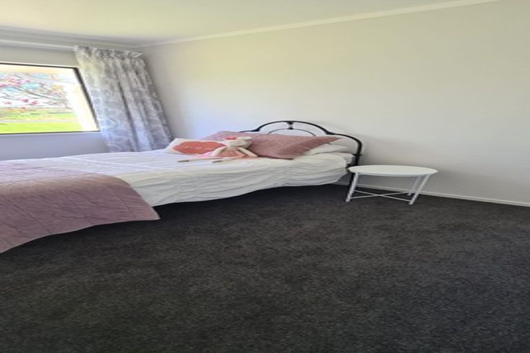 Photo of property in 755 Te Pahu Road, Te Pahu, Hamilton, 3285