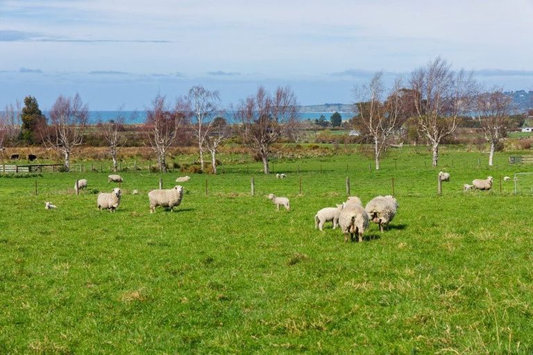 Photo of property in 137 Harnetts Road, Kaikoura Flat, Kaikoura, 7371