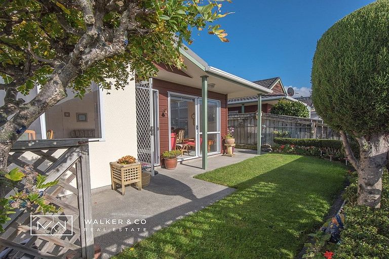 Photo of property in 20 Macalister Place, Miramar, Wellington, 6022