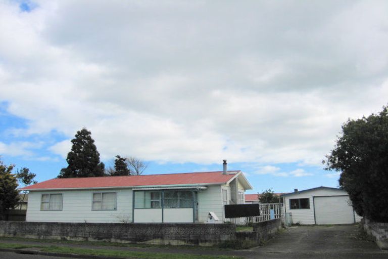 Photo of property in 30 Strathmore Avenue, Levin, 5510