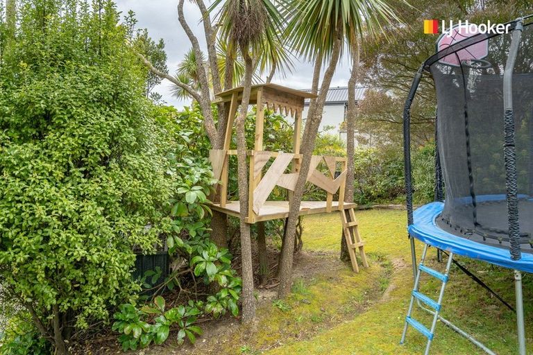 Photo of property in 50 Aytoun Street, Waverley, Dunedin, 9013