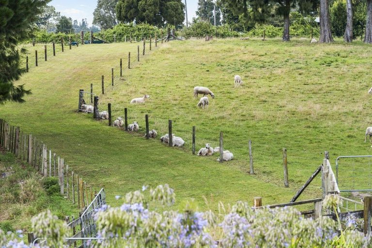 Photo of property in 37 Jacks Lane, Oropi, Tauranga, 3173