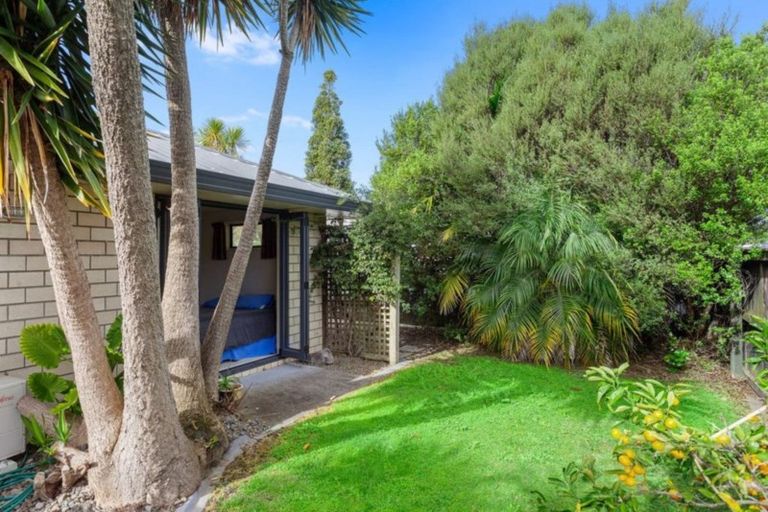 Photo of property in 55 Bridge Street, Whakatane, 3120
