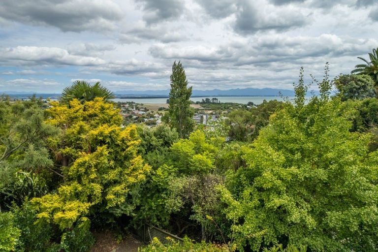 Photo of property in 52 Stansell Avenue, Tahunanui, Nelson, 7011