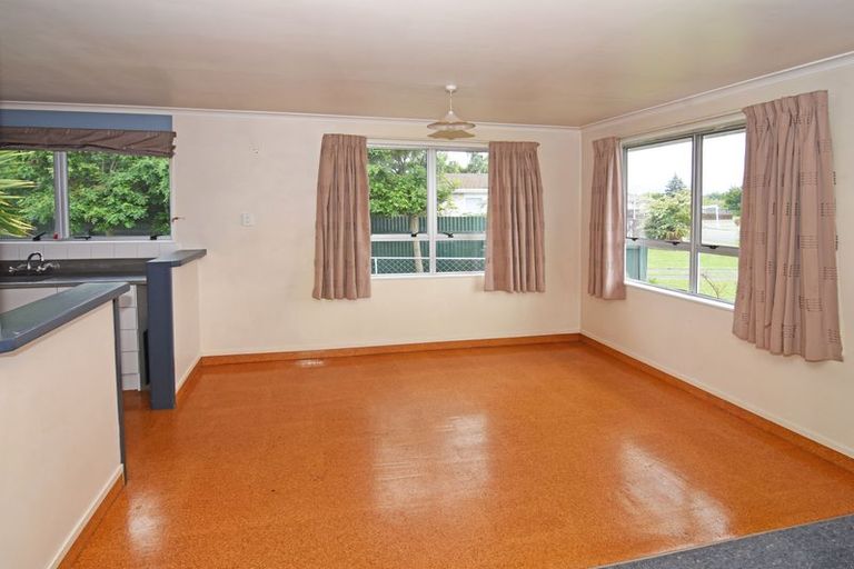 Photo of property in 17 Manchester Street, Solway, Masterton, 5810