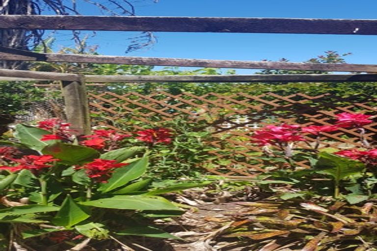 Photo of property in 44 Cobham Avenue, Dargaville, 0310