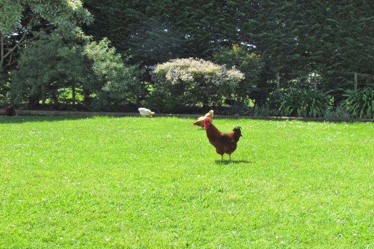 Photo of property in 552 Paierau Road, Opaki, Masterton, 5881