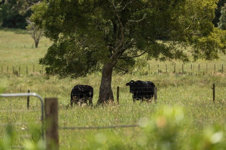 Photo of property in 141 Neavesville Road, Puriri, Thames, 3578