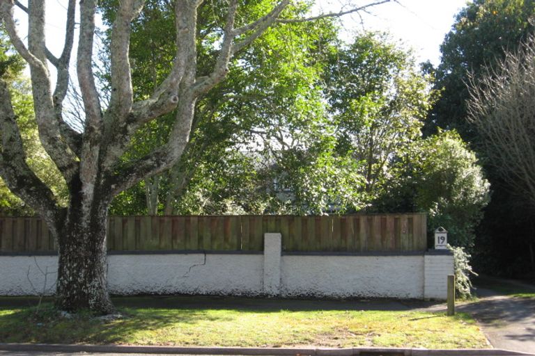 Photo of property in 19 Stanley Street, Claudelands, Hamilton, 3214