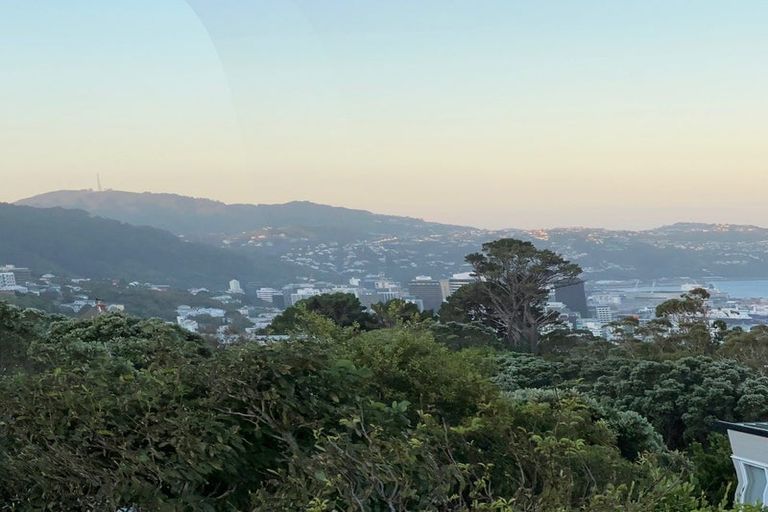 Photo of property in 71 Washington Avenue, Brooklyn, Wellington, 6021