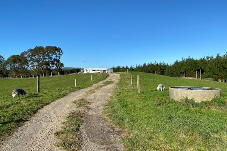 Photo of property in 1302 Pongakawa Bush Road, Pongakawa, Te Puke, 3186