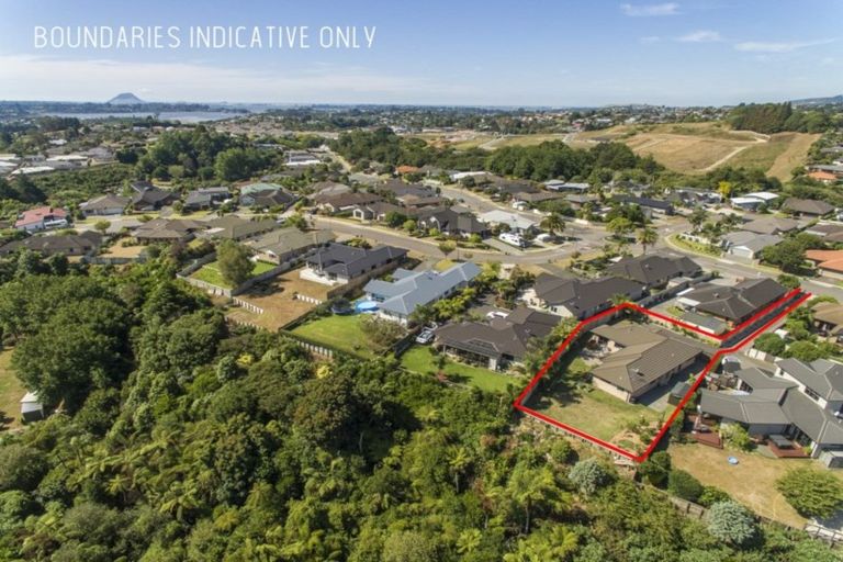 Photo of property in 176 Hollister Lane, Ohauiti, Tauranga, 3112