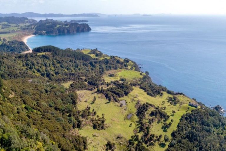 Photo of property in 170 Radar Road, Whenuakite, Whitianga, 3591