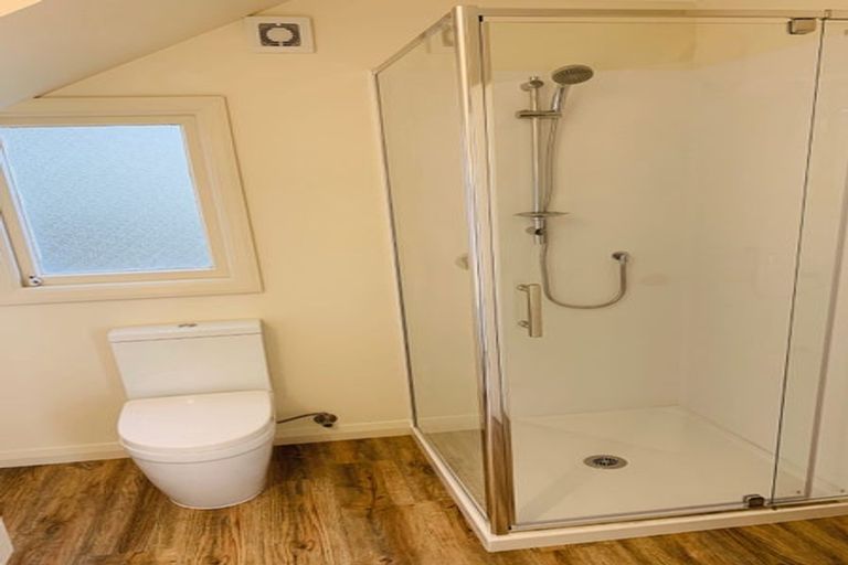 Photo of property in 45 Scarba Street, Roslyn, Dunedin, 9010