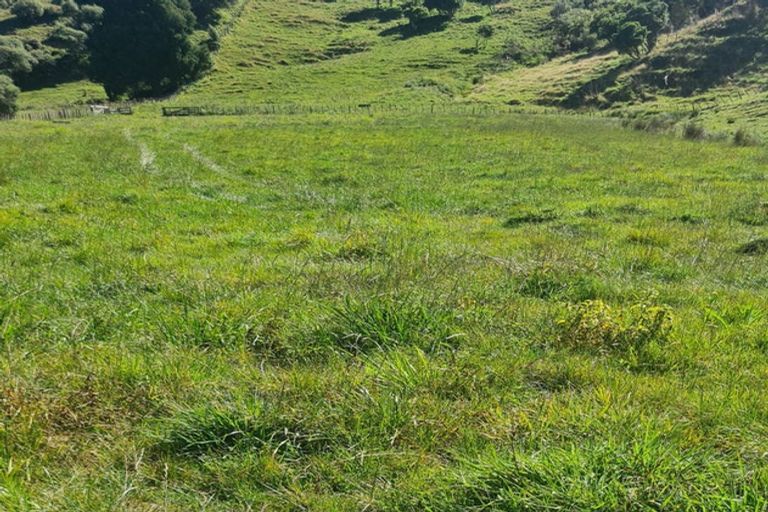 Photo of property in 2386 Tarata Road, Tarata, Inglewood, 4387