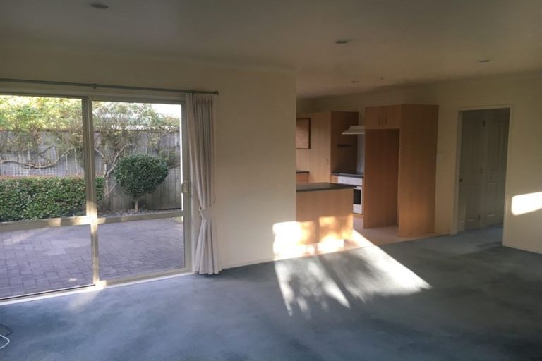 Photo of property in 6/17 Pope Terrace, Leamington, Cambridge, 3432