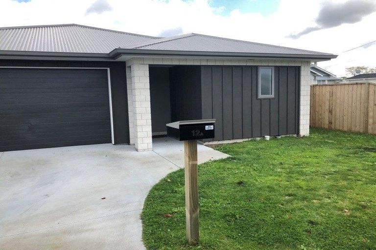 Photo of property in 12 Park Road, Katikati, 3129