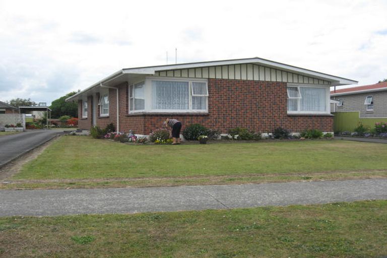 Photo of property in 119 Warwick Street, Feilding, 4702