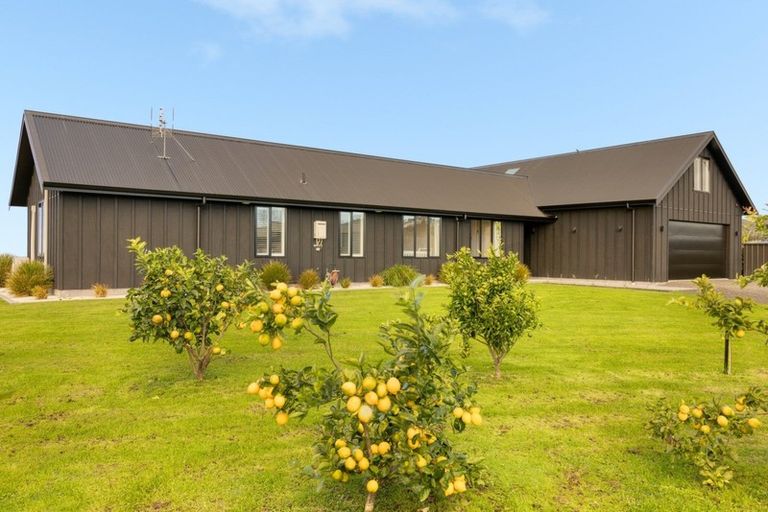 Photo of property in 423b Youngson Road, Whakamarama, Tauranga, 3179