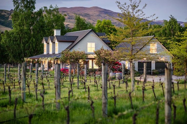 Photo of property in 141 Pearson Road, Cromwell, 9384