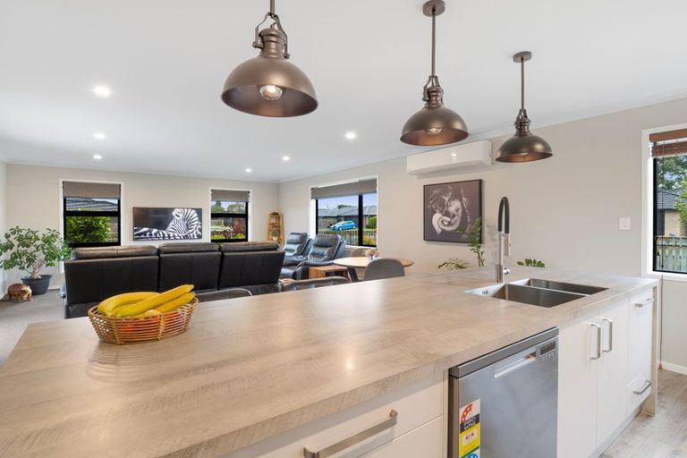 Photo of property in 17 Monarch Drive, Ashhurst, 4810