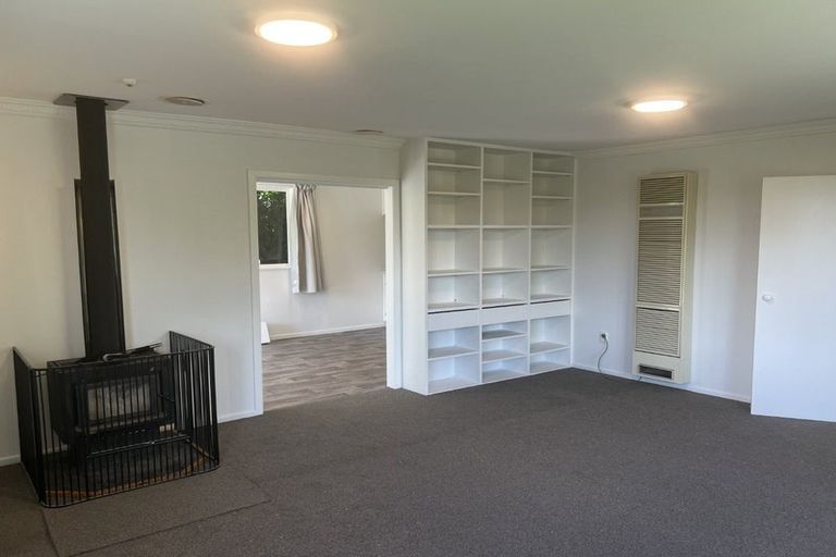 Photo of property in 14 Wake Street, Chartwell, Hamilton, 3210