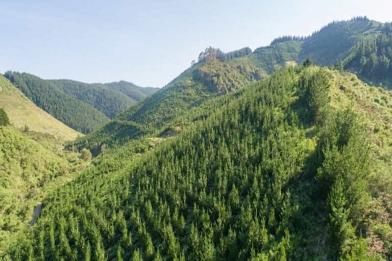 Photo of property in 641 Aniseed Valley Road, Aniseed Valley, Richmond, 7081